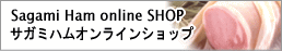 ���������͂����炩��F�T�K�~�n���I�����C���V���b�v