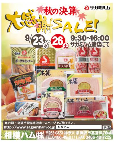 201509sale_