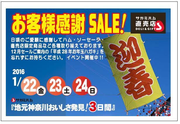 sale201601