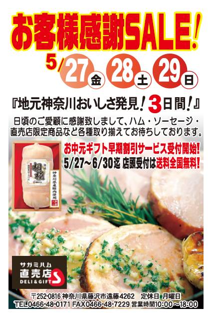 201605sale