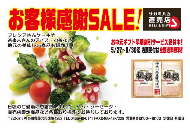 sale201606