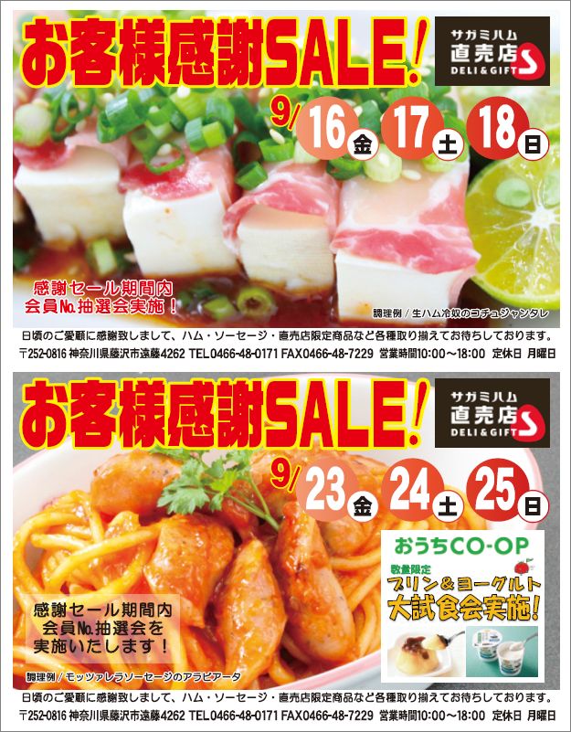 201609sale