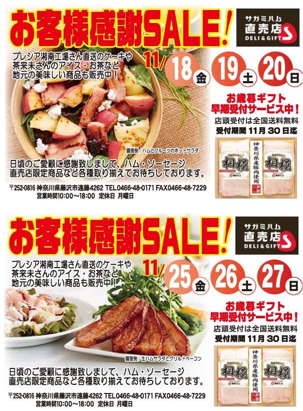 201611sale